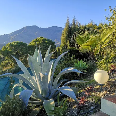 Apartman Roca Penthouse *