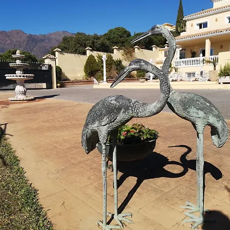 Roca Penthouse Apartman