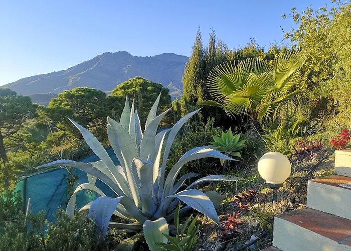 아파트 Roca Penthouse 에스테포나