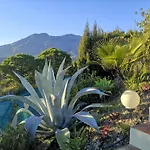 Roca Penthouse *